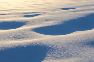 Illustration untouched - Image 1