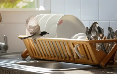 Illustration dishwashers - Image 1