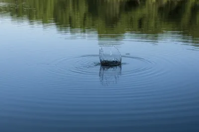 Illustration precipitates