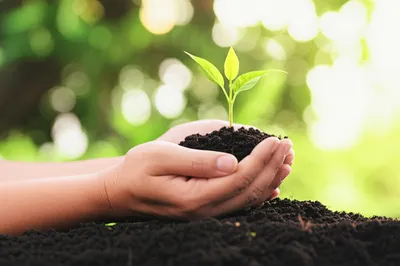 Illustration motherly