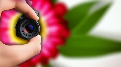 Illustration adjusted