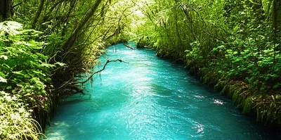 Illustration liquidated - Image 1