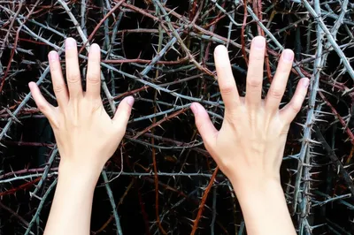 Illustration cage - Image 1