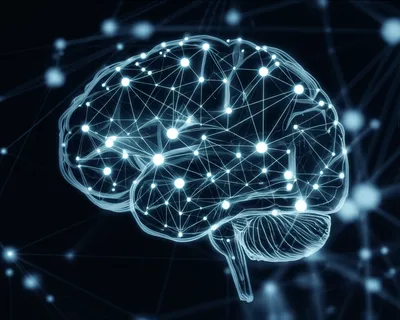 Illustration retention - Image 1