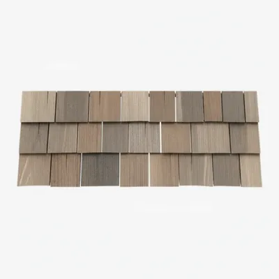 Illustration shake - Image 1