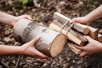 Illustration chopping - Image 1