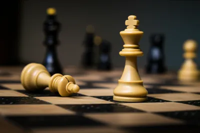 Illustration regency - Image 1