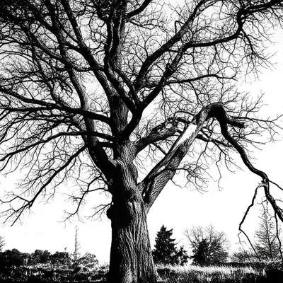 Illustration cripple - Image 1