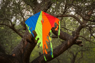 Illustration snaggy - Image 1