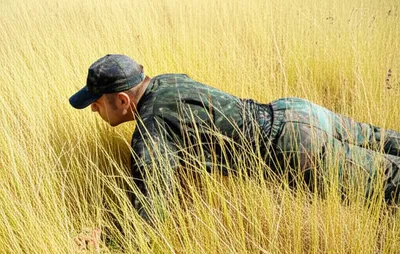 Illustration bellied - Image 1