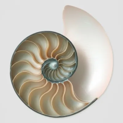 Illustration winding - Image 1