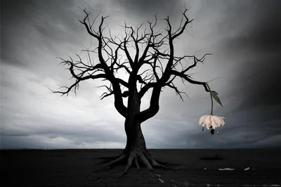 Illustration killing - Image 1