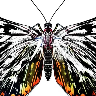 Illustration done - Image 1