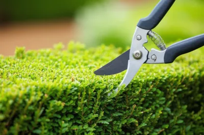 Illustration shore - Image 1