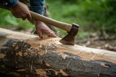 Illustration spotted - Image 1