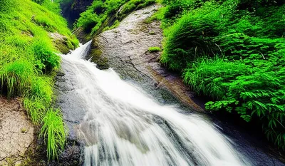 Illustration rejuvenated - Image 1