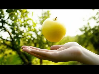 Illustration handout - Image 1