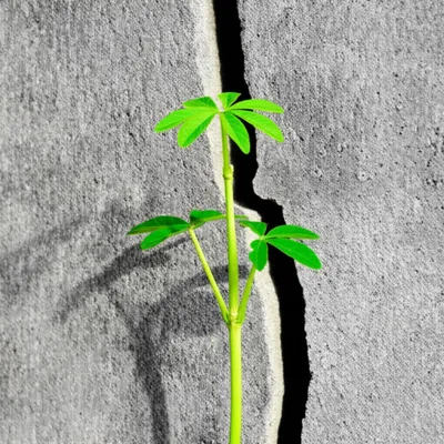 Illustration opposes - Image 1