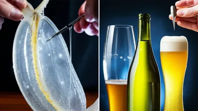 Illustration isinglass