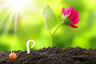 Illustration educe - Image 1