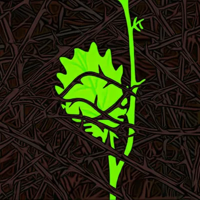 Illustration acquire - Image 1