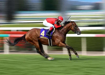 Illustration headed - Image 1