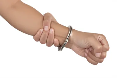 Illustration collar - Image 1