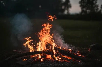 Illustration lurid - Image 1