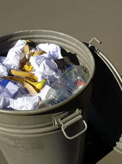 Illustration bins - Image 2