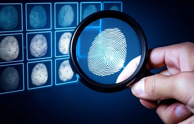 Illustration identifies