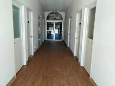 Illustration cellular - Image 2