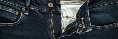 Illustration flys - Image 1