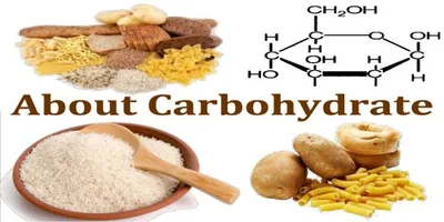 Illustration carbohydrate - Image 2