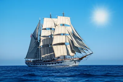 Illustration sailers - Image 1