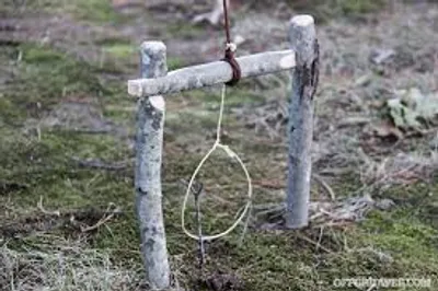 Illustration wire - Image 2