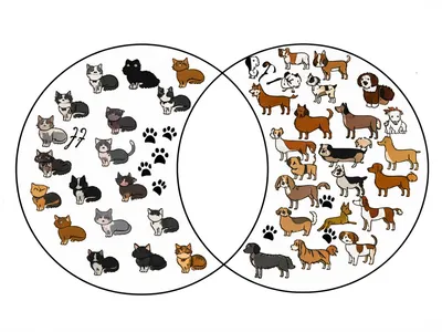 Illustration similarities - Image 1