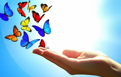 Illustration looses - Image 1