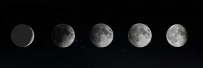 Illustration increased - Image 1