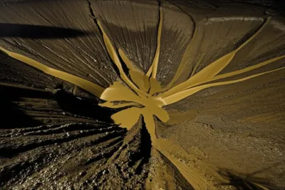 Illustration forks - Image 1