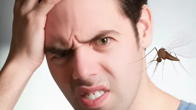 Illustration dun - Image 1