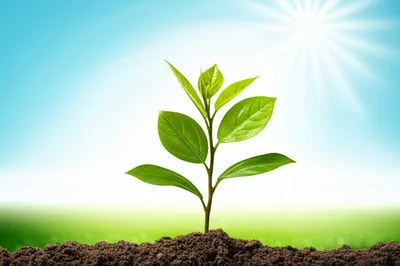 Illustration stay - Image 1