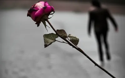 Illustration despises - Image 1