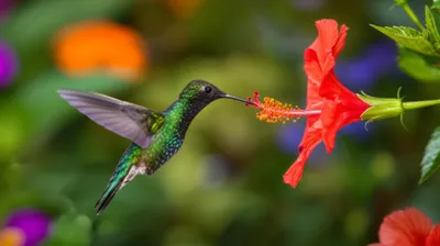 Illustration hits - Image 1