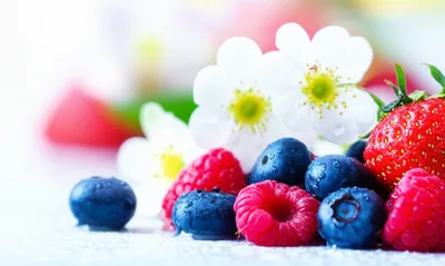 Illustration sweet - Image 1