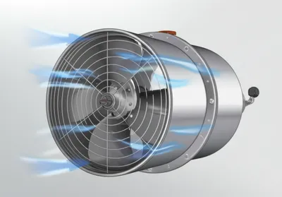 Illustration fan - Image 1