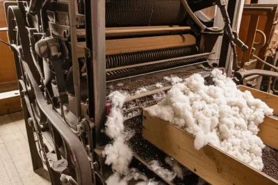 Illustration ginning - Image 1