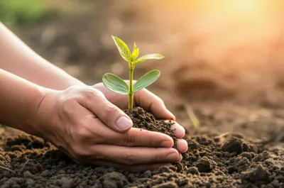 Illustration breed - Image 1