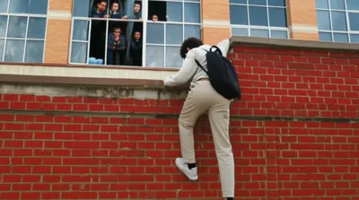 Illustration bunked - Image 1