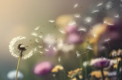 Illustration souffle