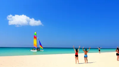 Illustration arrives - Image 1